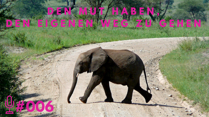 006: Den Mut haben, den eigenen Weg zu gehen