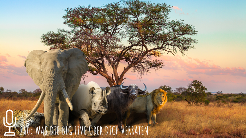 260: Was die Big Five über dich verraten